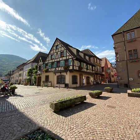 Coeur D'Alsace Apartman Kaysersberg-Vignoble Kültér fotó