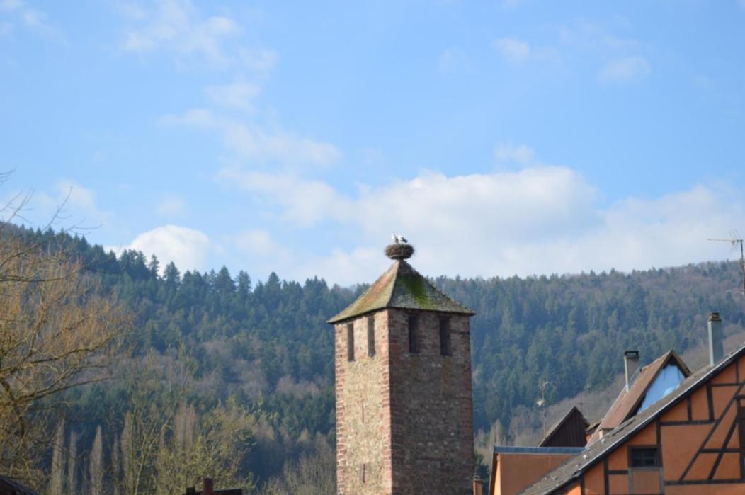 Coeur D'Alsace Apartman Kaysersberg-Vignoble Kültér fotó